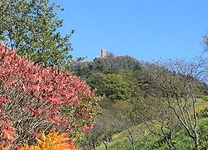 Burg Yburg. Foto: kulturer.be