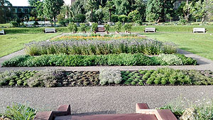 Botanischer Garten Karlsruhe, Kräuterbeet. Foto: Thomas Huber. SSG