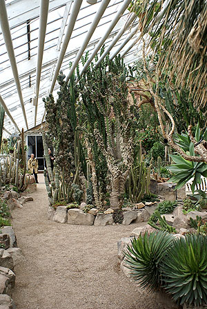 Botanischer Garten: Sukkulentenhaus. Foto: kulturer.be