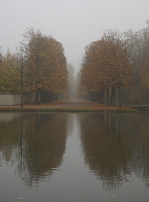 Schlossgarten Schwetzingen, Kastanienallee im Hernstnebel. Foto: kulturer.be