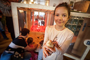 Am Osterwochenende gibt es im Freilichtmuseum Vogtsbauernhof ein buntes Programm rund um österliche Symbole und Bräuche. Bei der Kükenstation im Falkenhof kann der Weg des Kükens vom Ei zum Huhn nachvollzogen werden. Foto: Schwarzwälder Freilichtmuseum Vogtsbauernhof, Hans-Jörg Haas