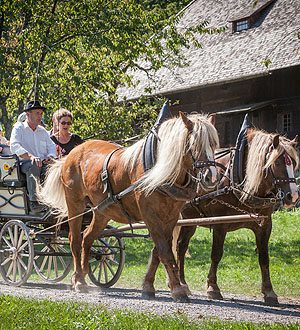 Von Schlitten, Karren und Kutschen: Im Mittelpunkt der Sonderführung am 15. Mai von Museumsmitarbeiter Lucas Pilipp stehen Gefährte, die unter anderem zur Fortbewegung genutzt wurden. Foto: Schwarzwälder Freilichtmuseum Vogtsbauernhof, Hans-Jörg Haas