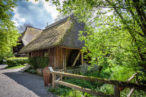 Deutscher Mühlentag: Beim Deutschen Mühlentag am Pfingstmontag, 6. Juni, werden die fünf historischen Mühlen des Freilichtmuseums Vogtsbauernhof vorgeführt. Foto: Schwarzwälder Freilichtmuseum Vogtsbauernhof, Hans-Jörg Haas