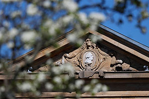 Wormser Tor im Frühling, Medaillon des Kurfürsten Carl Theodor. Foto: Pressestelle Stadt Frankenthal, Torsten Zimmermann