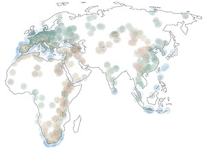 Weiße Flecken auf der Karte zeigen, dass ein Großteil der prähistorischen Welt unerforscht ist. Die Visualisierung basiert auf einer Kerndichteschätzung der Daten in ROAD. Standorte mit größerem Bestand an Fundinventar erscheinen farbintensiver. Australien ist nicht kartiert. Christian Sommer (ROCEEH); made with Natural Earth - public domain