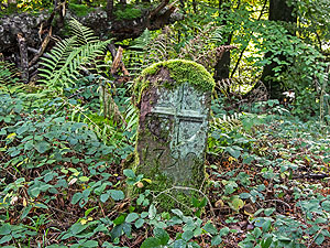 Grenzstein in Freiburg-Ebnet, Stadtwald Distrikt Roßkopf, 1790 (Bernd Ebbmeyer, Freiburg)