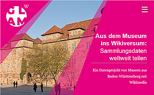 Titelbild der Wiki-Präsentation 