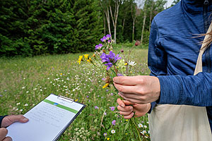 Wiesenmeisterschaft: Die Jury bewertet eine artenreiche Schwarzwaldwiese 