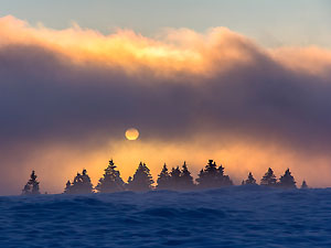 Nebelstimmung © Sebastian Schroeder-Esch
