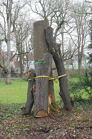 Totholzpyramide aus aufrechtstehenden und zusammengebundenen Baumstämmen im Wiesentälchen